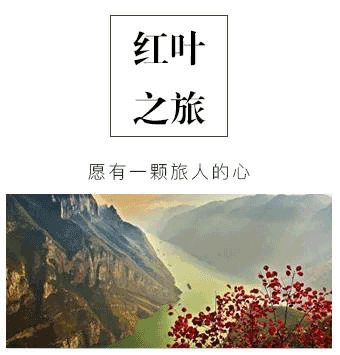 微信图片_20191031153104