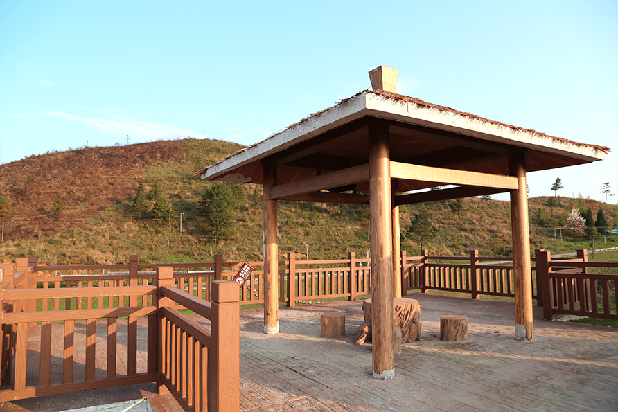 20191091410237488 20191091410237488