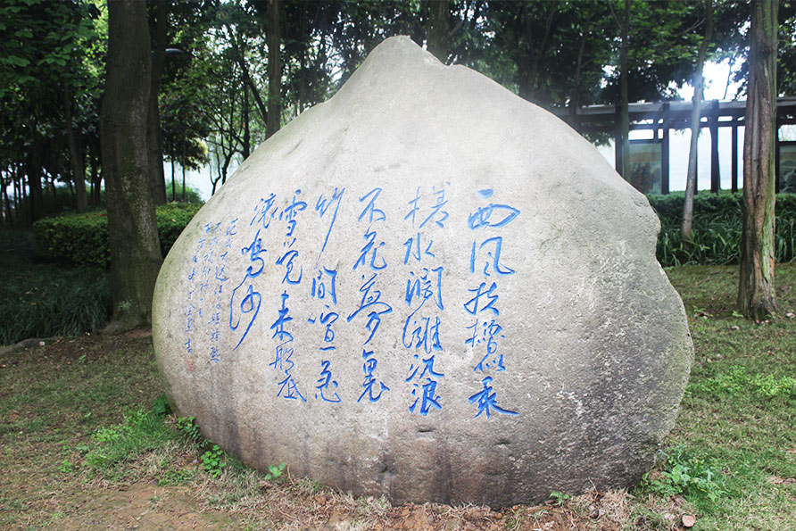 江津特色景观石