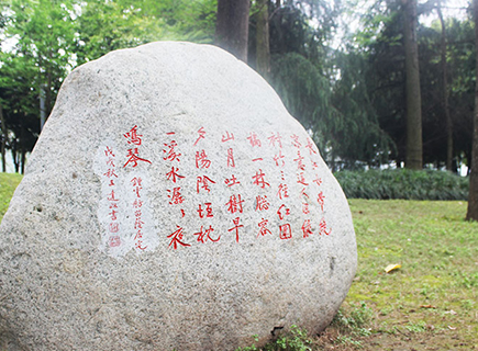 江津特色景观石