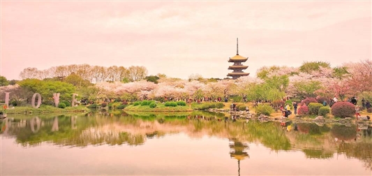 《游戏游艺设备管理办法》通知