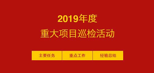 新东冠开展2019年度重大项目巡检工作回顾