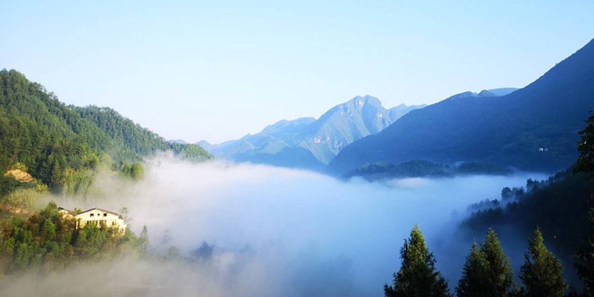 巴山大峡谷案例