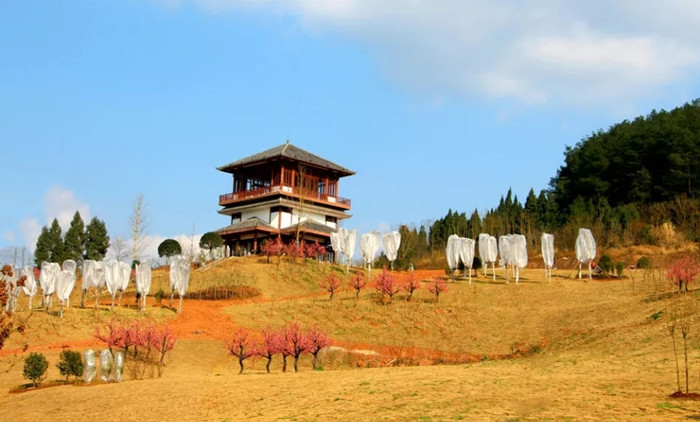 城市生态公园3 城市生态公园3