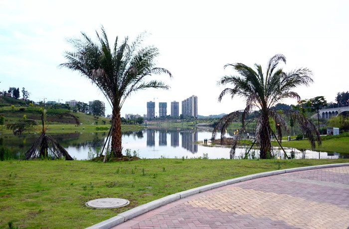 城市生态公园1 城市生态公园1