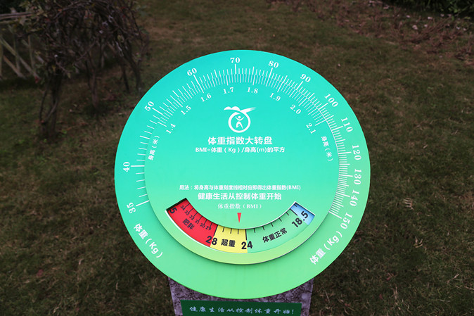BMI体重指数转盘1 BMI体重指数转盘1