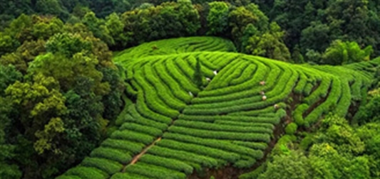 四川映秀：旅游富民，让总书记放心