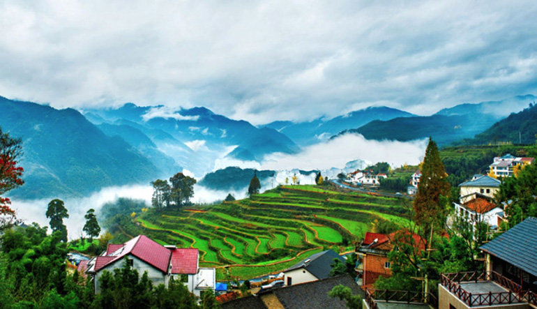 dde8d09359a346868d7cf43afa475984