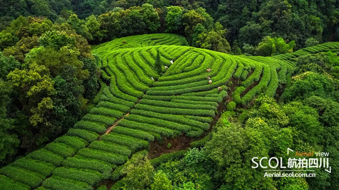 640 (16)_看图王.web 640 (16)_看图王.web