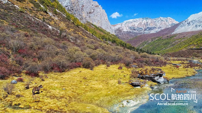 640 (20)_看图王.web 640 (20)_看图王.web