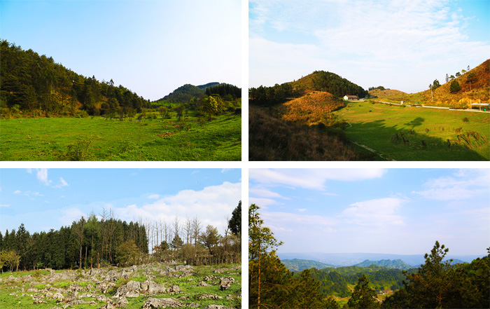 千野草场景区