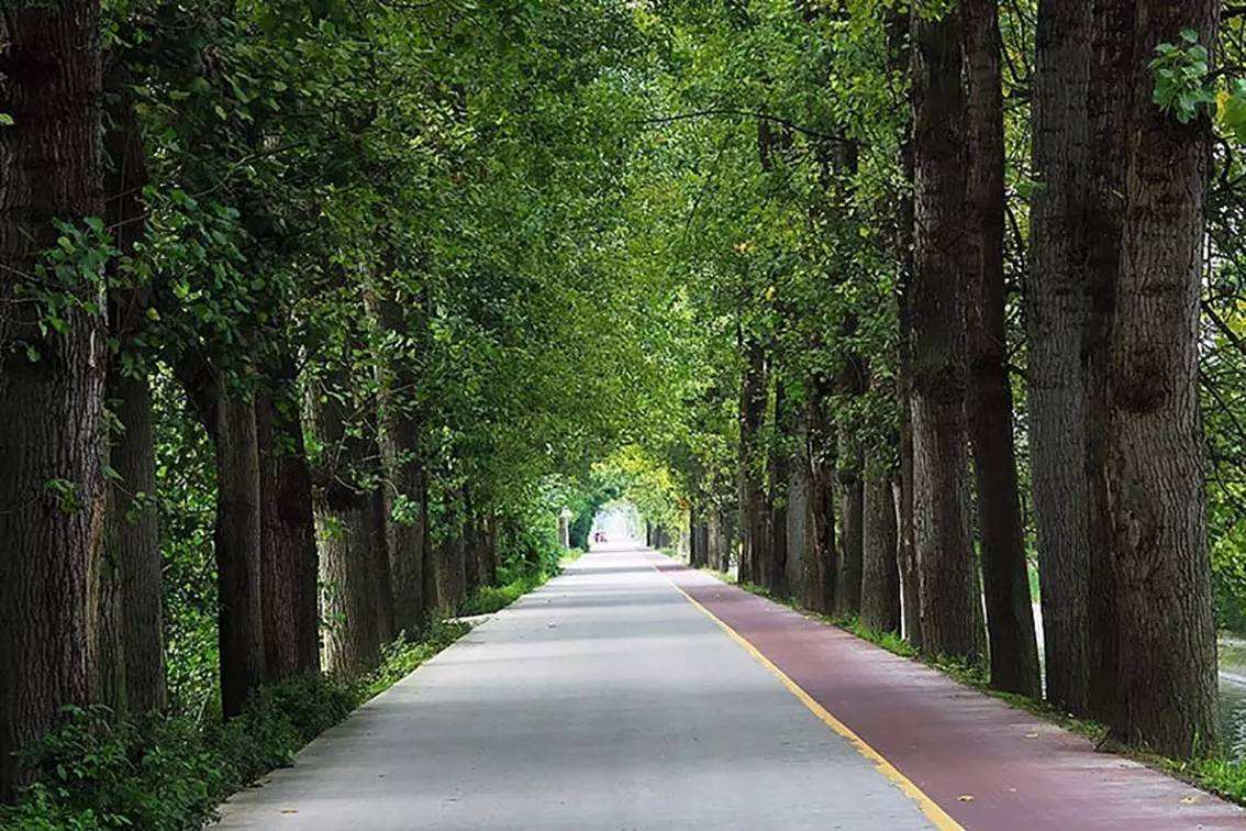 成都将规划建设全球超长16930公里绿道系统