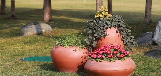 浅谈城市家具中的花箱和花池