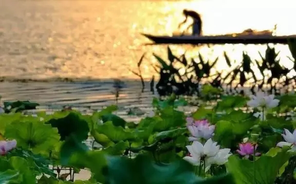 20190906_092247_008 20190906_092247_008