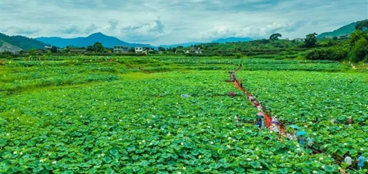 美在米易丨被阳光眷顾的天赐之地