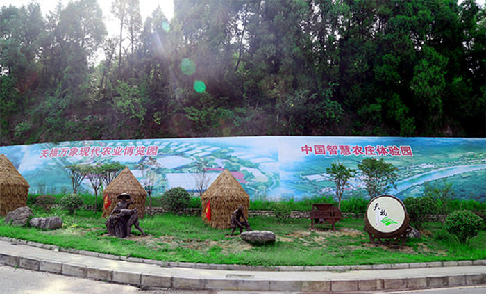 乡村景观 乡村景观