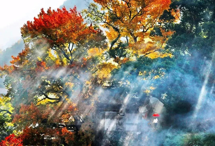 乡村生活 乡村生活