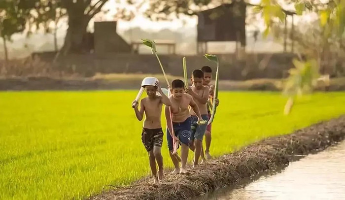 乡村田野 乡村田野