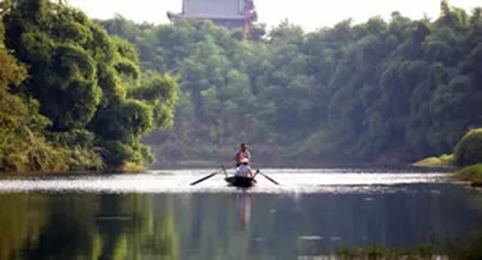 宜宾明威茶生态园