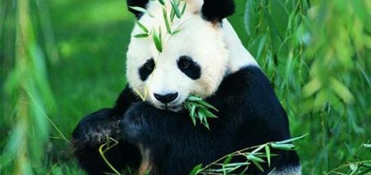 请收下这份可盐可甜的旅行指南