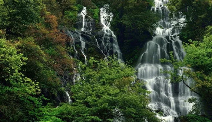 空石林林间瀑布