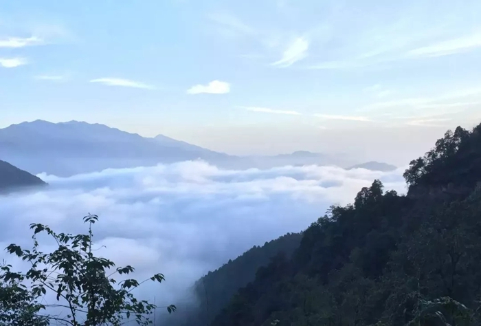 空石林山雾蒙蒙