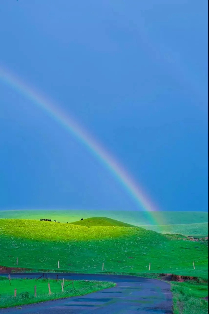 青海彩虹