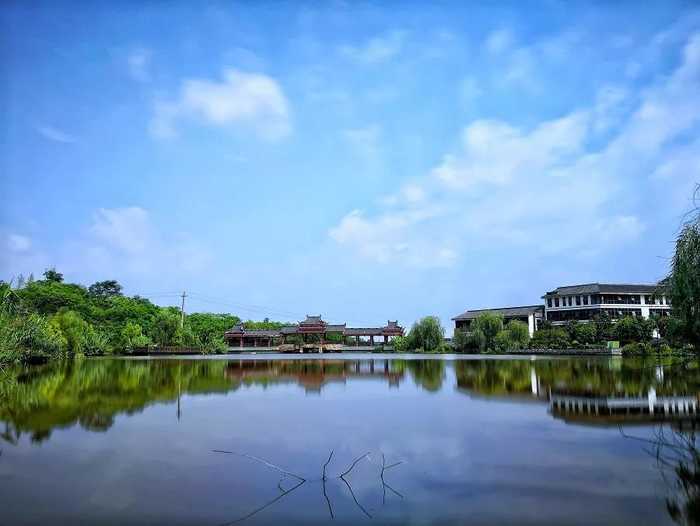 张坝桂圆555_pro_pro